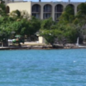 Meet your Posher, Camille